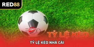 Tỷ Lệ Kèo Nhà Cái Hôm Nay Chính Xác Nhất Tại Nhà Cái RED88