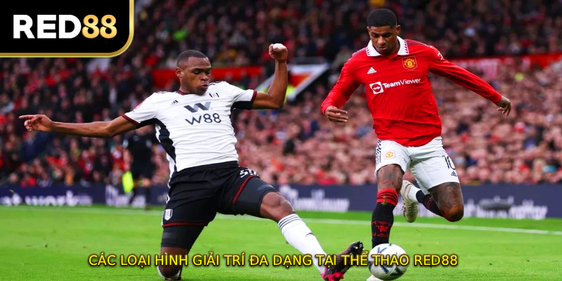 Các loại hình giải trí đa dạng tại thể thao RED88
